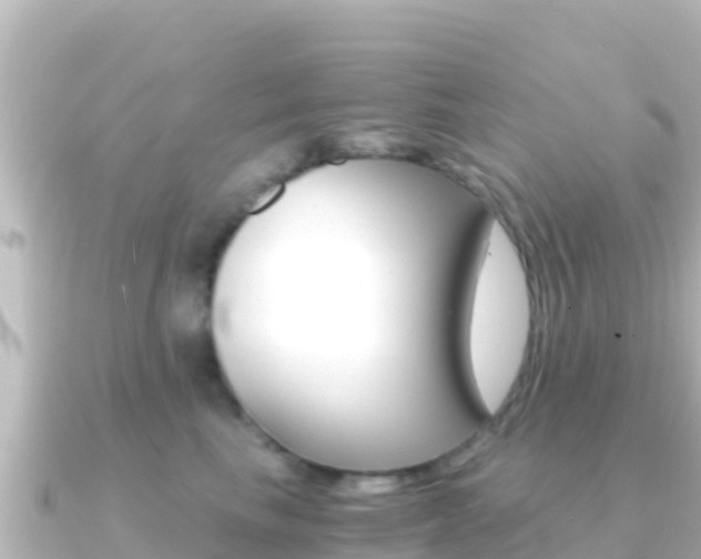 X0000091240665200708091132