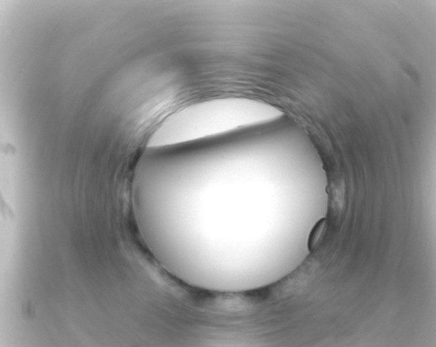 X0000091240666200708091132