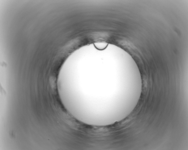 X0000091240667200708091132