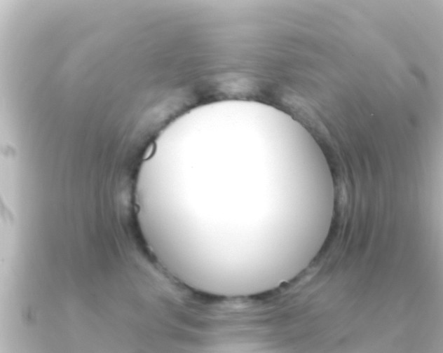 X0000091240668200708091132