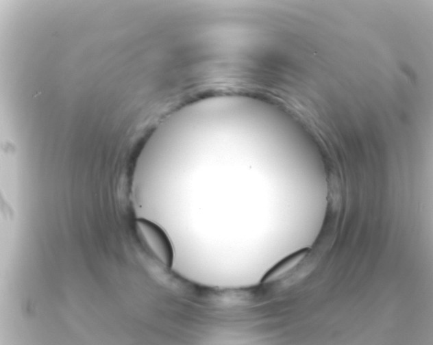 X0000091240670200708091132