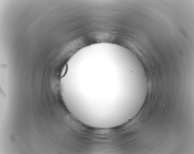 X0000091240671200708091132