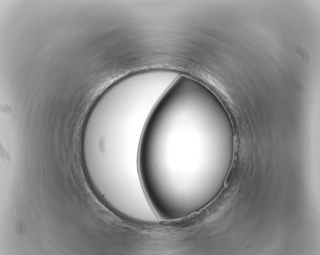X0000091240673200708091131