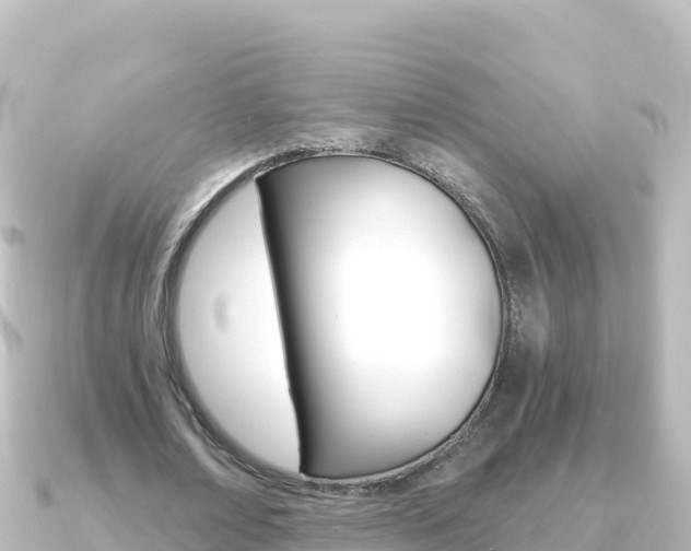 X0000091240674200708091131