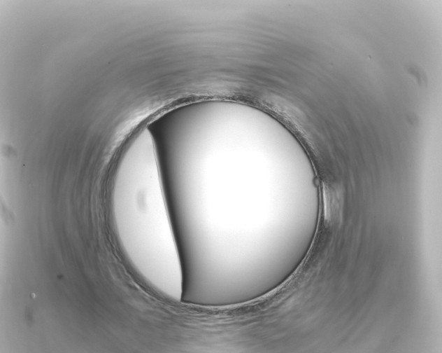 X0000091240675200708091131