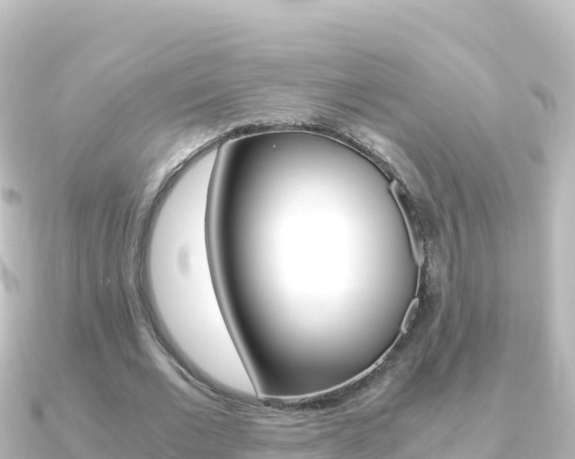 X0000091240677200708091131