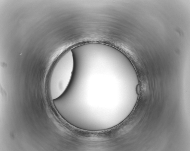 X0000091240678200708091131