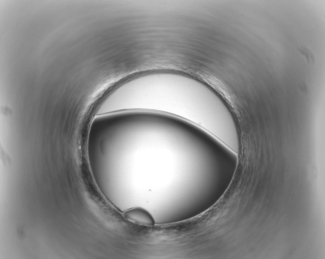 X0000091240680200708091131