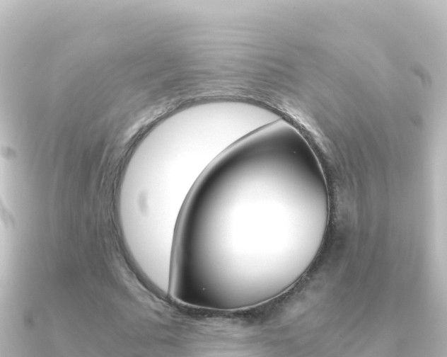 X0000091240681200708091131