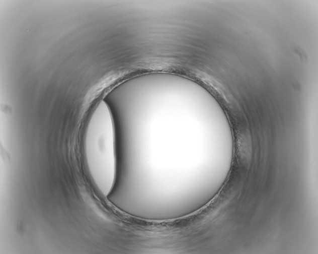 X0000091240682200708091131