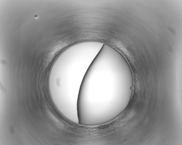 X0000091240683200708091131