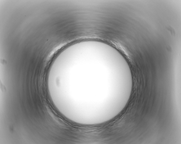 X0000091240684200708091131