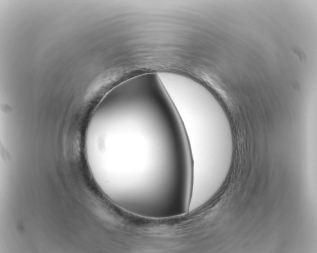 X0000091240685200708091131