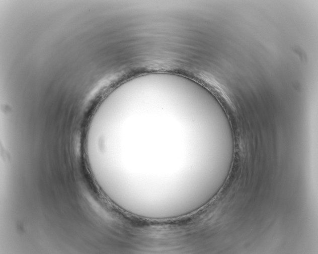 X0000091240686200708091131