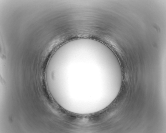 X0000091240687200708091131