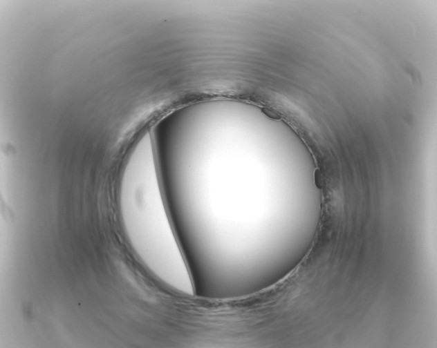 X0000091240688200708091131