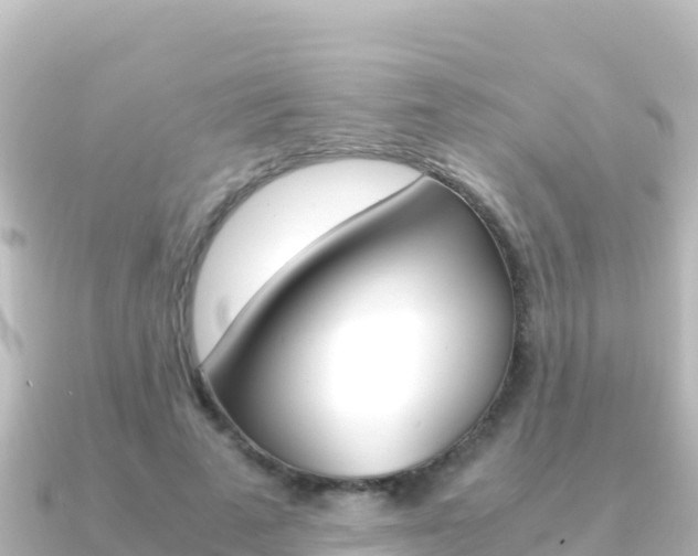 X0000091240689200708091131