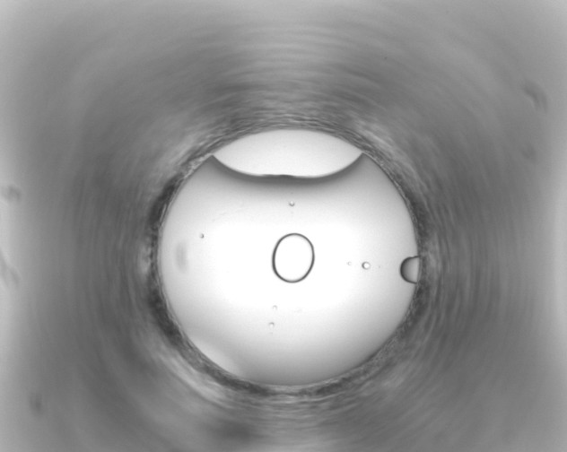 X0000091240691200708091131