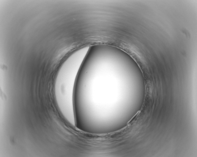 X0000091240692200708091131