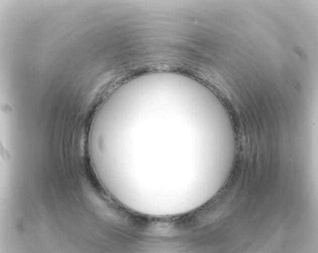 X0000091240694200708091131