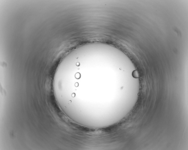 X0000091240695200708091131
