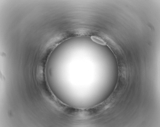 X0000091240696200708091131