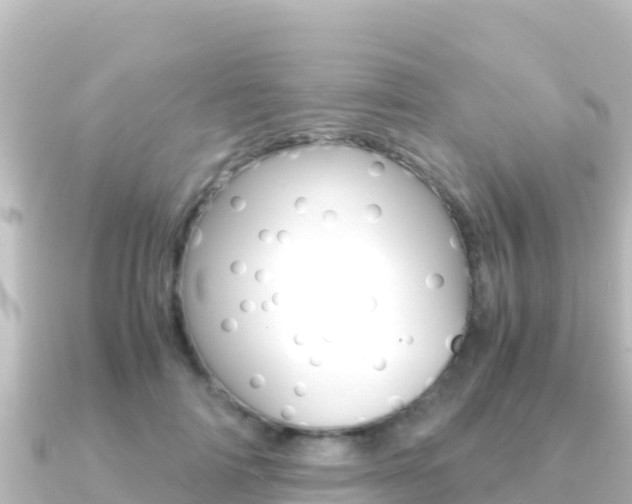 X0000091240698200708091131