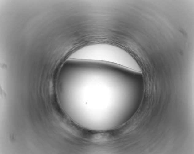 X0000091240700200708091131
