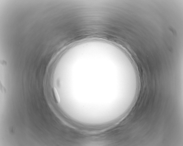 X0000091240701200708091131