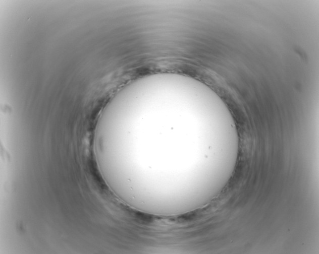 X0000091240703200708091131