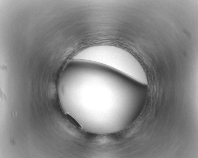 X0000091240704200708091131