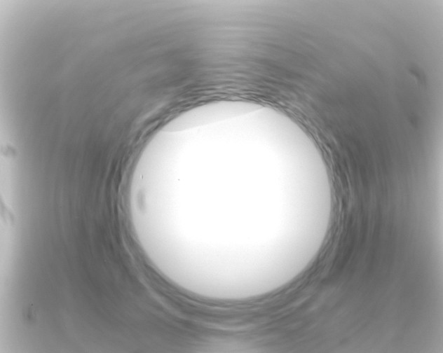 X0000091240705200708091131