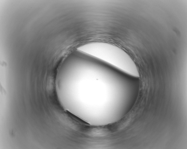 X0000091240708200708091131