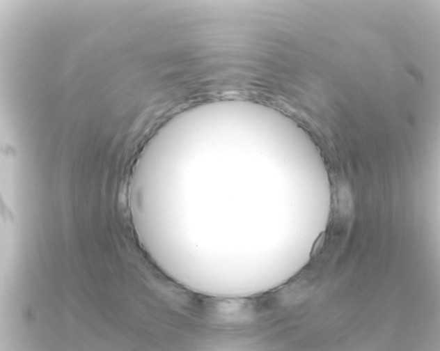 X0000091240709200708091131
