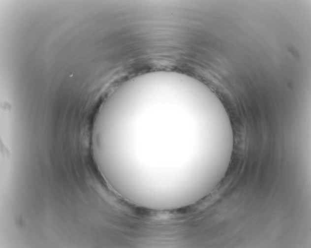 X0000091240710200708091131