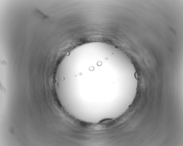 X0000091240711200708091131