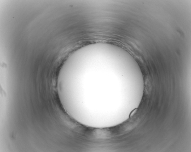 X0000091240714200708091131