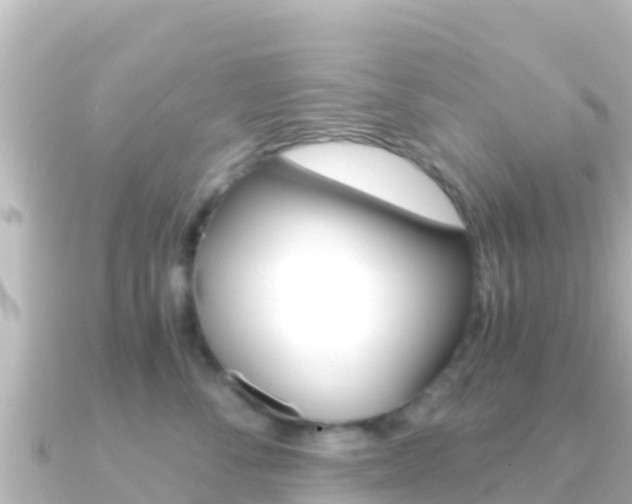 X0000091240716200708091131