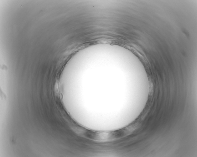 X0000091240717200708091131