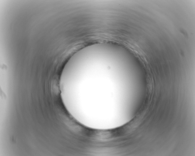 X0000091240719200708091131