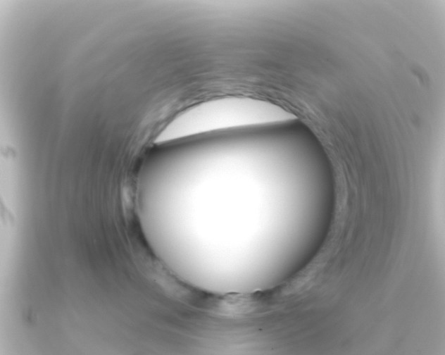 X0000091240720200708091131