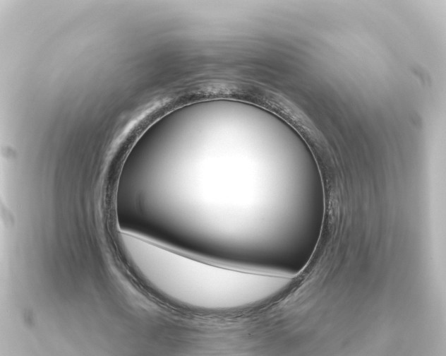 X0000091240722200708091130