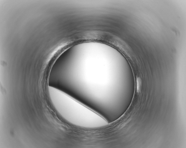X0000091240723200708091130