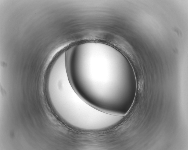 X0000091240724200708091130