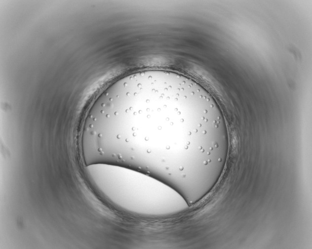 X0000091240725200708091130