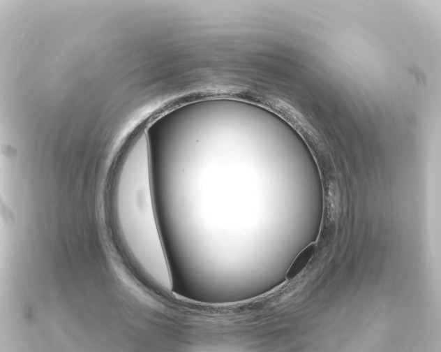 X0000091240726200708091130