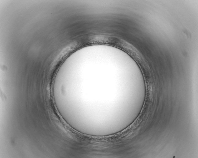 X0000091240729200708091130