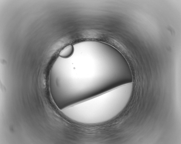 X0000091240731200708091130