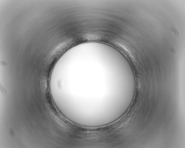 X0000091240733200708091130