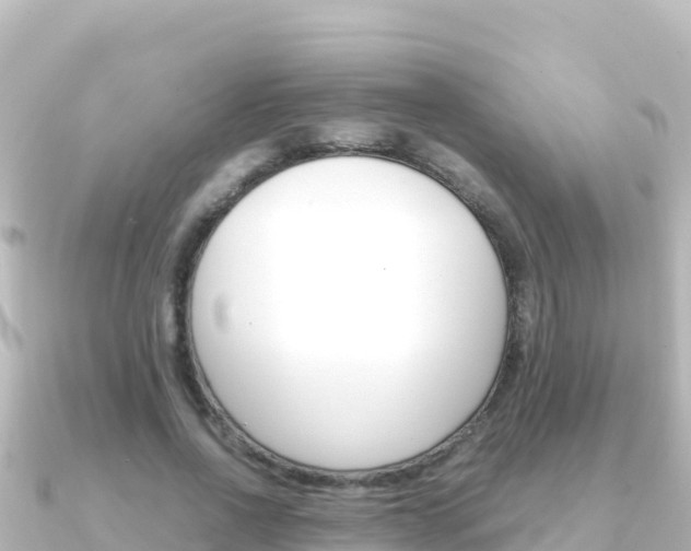 X0000091240734200708091130